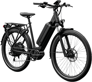 3 PICK SECTION IMG 1